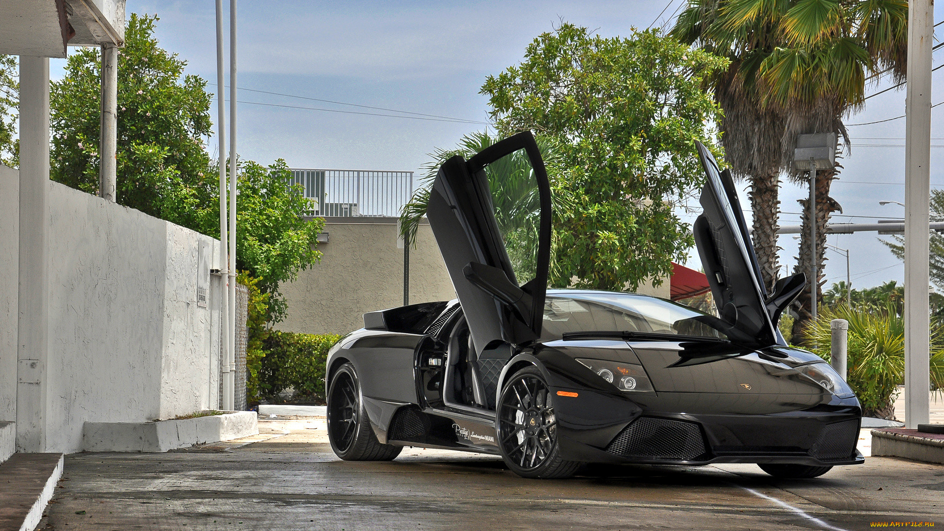 lamborghini, murcielago, , , automobili, s, p, a, 